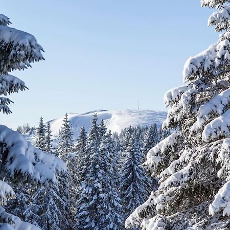 Waldtwin 2 Titisee Dış mekan fotoğraf