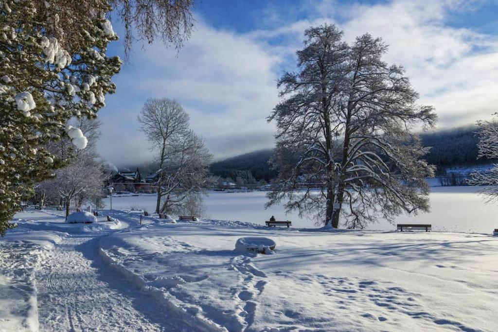 Waldtwin 2 Titisee Dış mekan fotoğraf