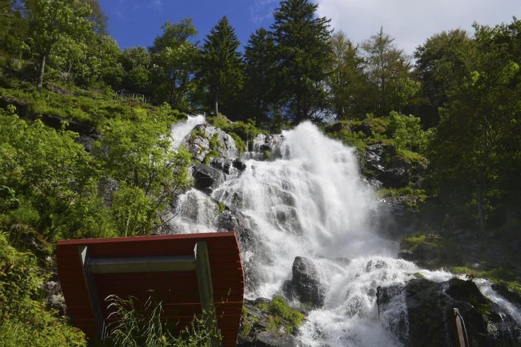 Waldtwin 2 Titisee Dış mekan fotoğraf