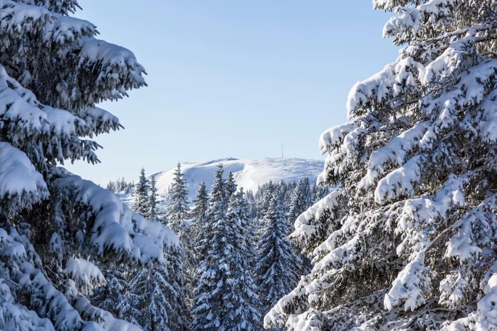Waldtwin 2 Titisee Dış mekan fotoğraf