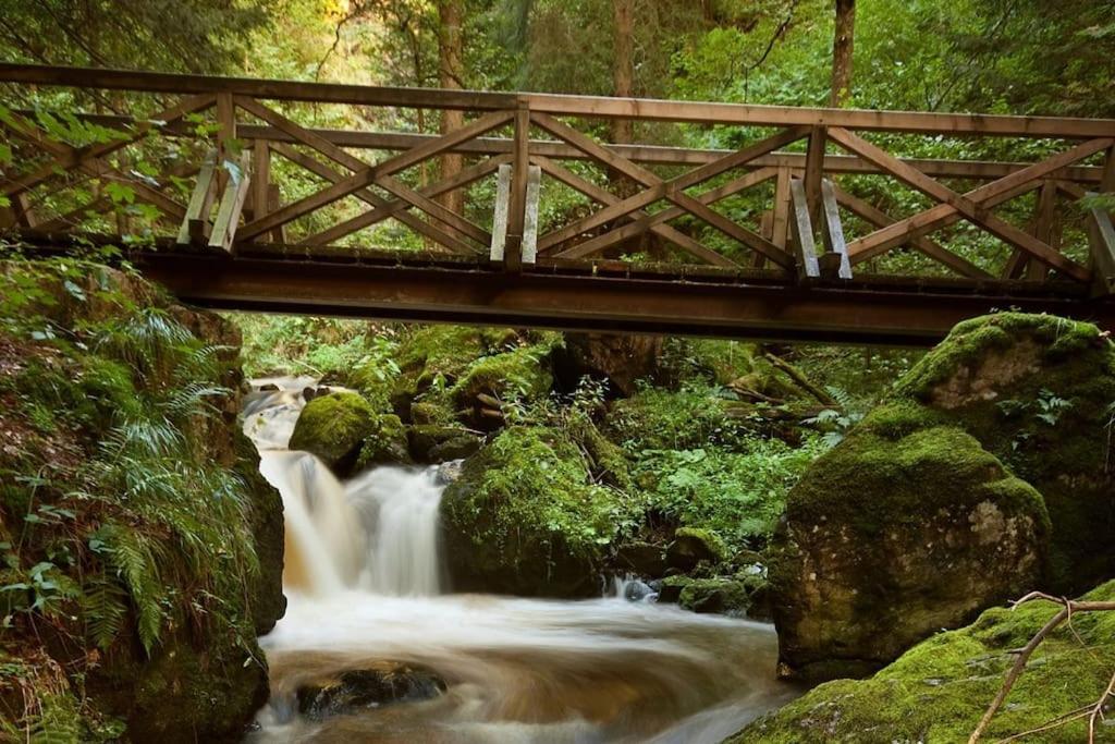 Waldtwin 2 Titisee Dış mekan fotoğraf