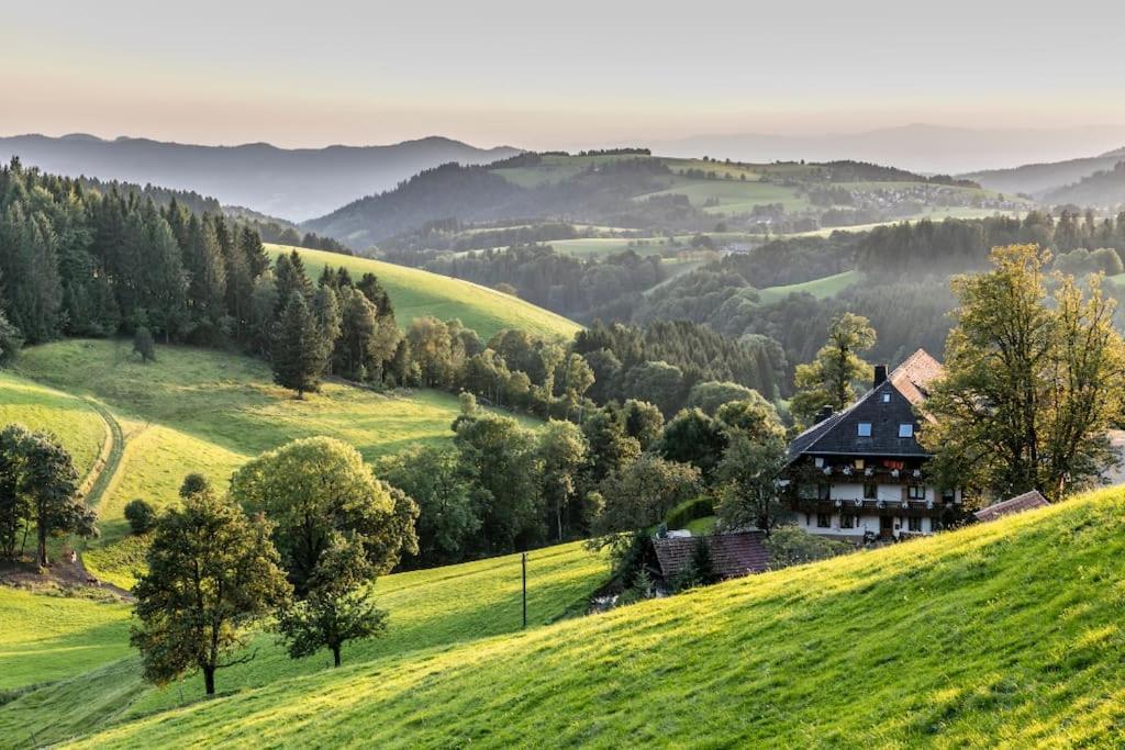 Waldtwin 2 Titisee Dış mekan fotoğraf