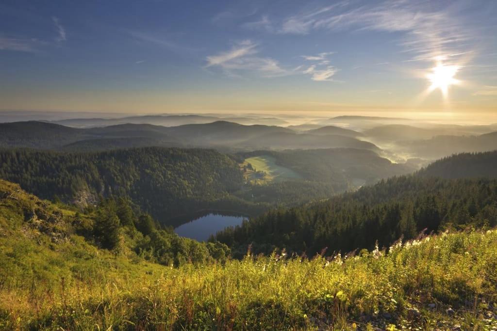Waldtwin 2 Titisee Dış mekan fotoğraf